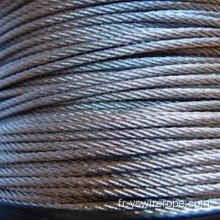 316 ROPE DE VIEUX en acier inoxydable 1x19 3,18 mm